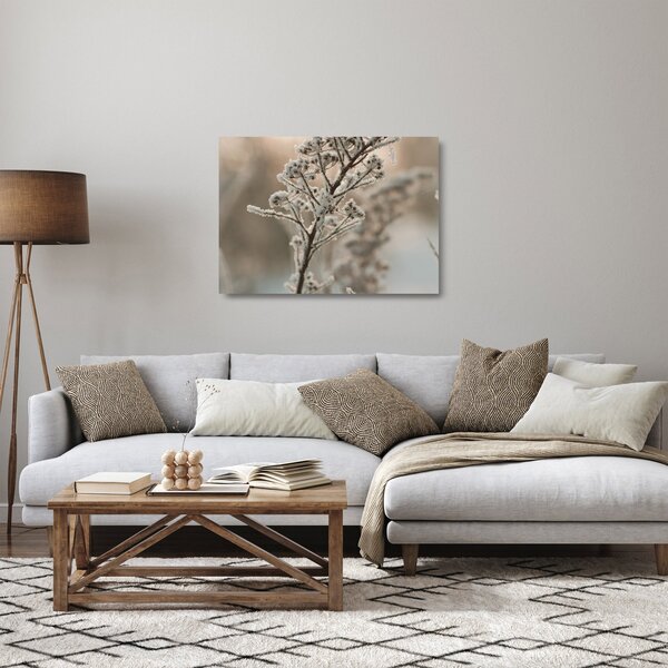 Obraz na szkle - Roślina w mrozie (70x50 cm)