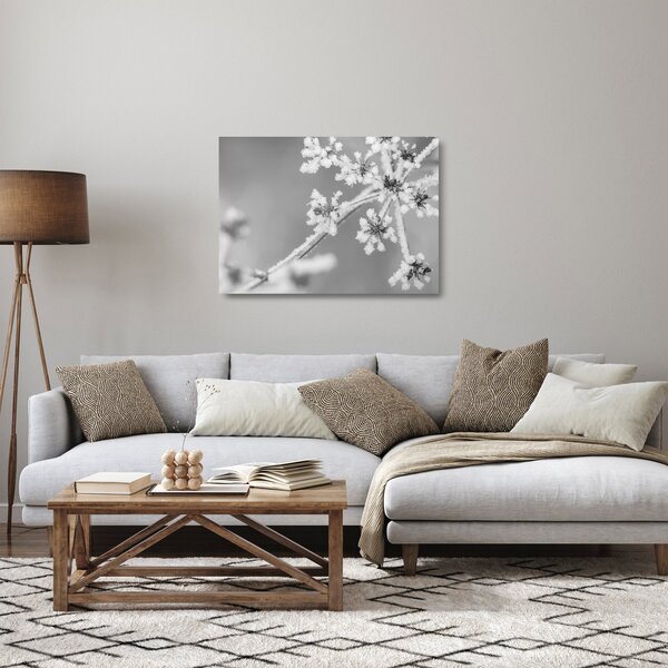 Obraz na szkle - Mrożona roślina (70x50 cm)