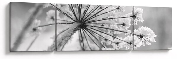 Obraz - Kwiat w zimie (170x50 cm)