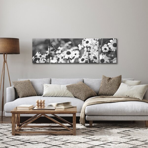 Obraz - Stokrotki (170x50 cm)