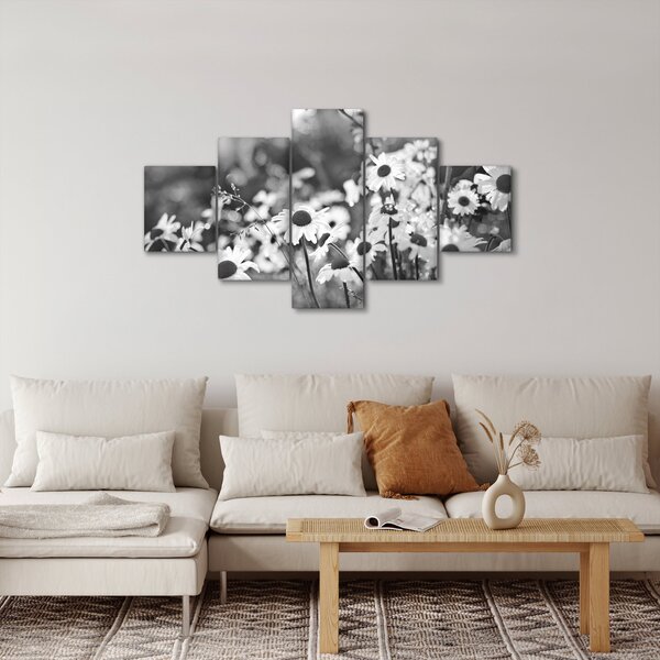 Obraz - Stokrotki (125x70 cm)