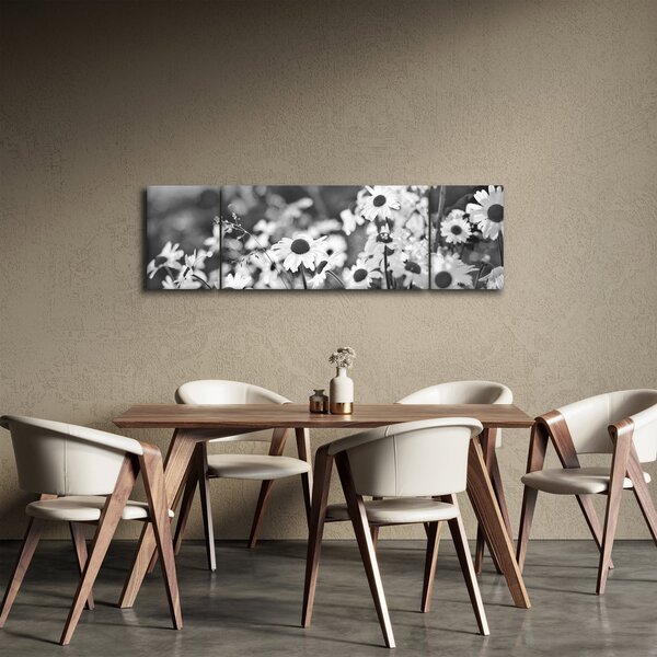 Obraz - Stokrotki (170x50 cm)