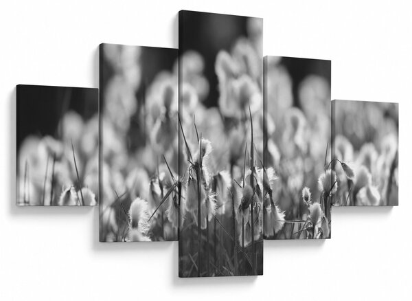 Obraz - Letnia łąka (125x70 cm)