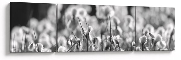 Obraz - Letnia łąka (170x50 cm)