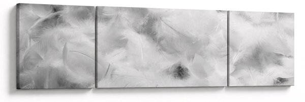Obraz - Chmury piór (170x50 cm)