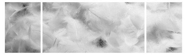 Obraz - Chmury piór (170x50 cm)