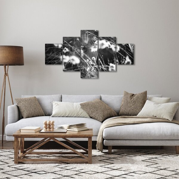 Obraz - Pajęczyna na łące (125x70 cm)