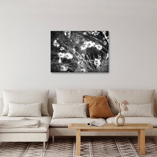 Obraz - Pajęczyna na łące (70x50 cm)