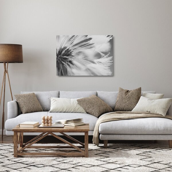 Obraz na szkle - Mlecz (70x50 cm)