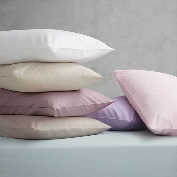 Białe prześcieradło z perkalu z gumką 90x190 cm Easy Iron Percale – Catherine Lansfield