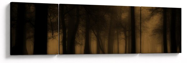 Obraz - Ciemny las (170x50 cm)