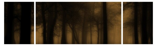 Obraz - Ciemny las (170x50 cm)
