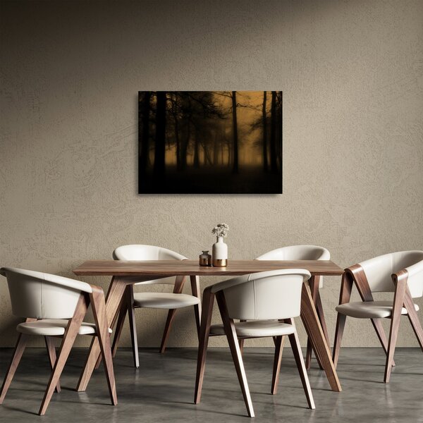 Obraz na szkle - Ciemny las (70x50 cm)