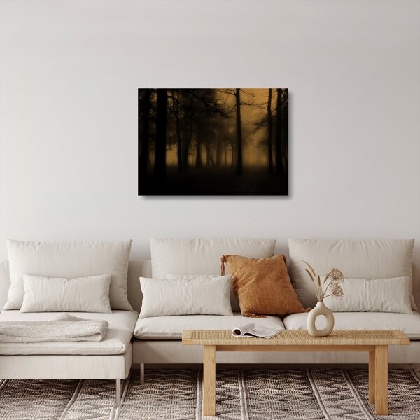 Obraz na szkle - Ciemny las (70x50 cm)