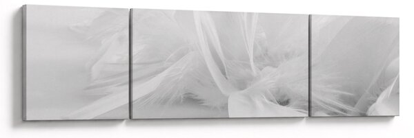 Obraz - Pióra (170x50 cm)