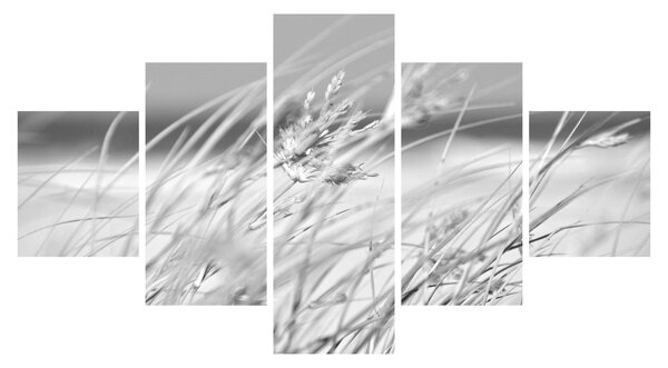 Obraz - Trawa plażowa (125x70 cm)