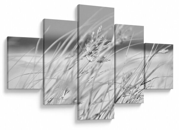 Obraz - Trawa plażowa (125x70 cm)