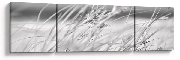 Obraz - Trawa plażowa (170x50 cm)