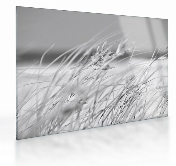 Obraz na szkle - Trawa plażowa (70x50 cm)