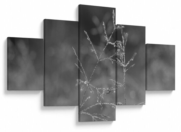 Obraz - Wiejska łąka (125x70 cm)