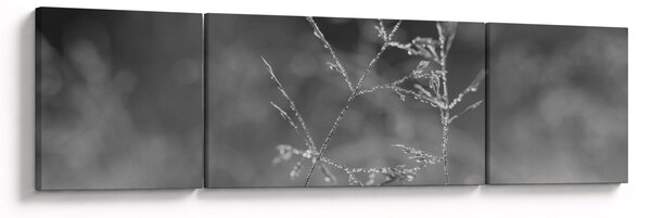 Obraz - Wiejska łąka (170x50 cm)