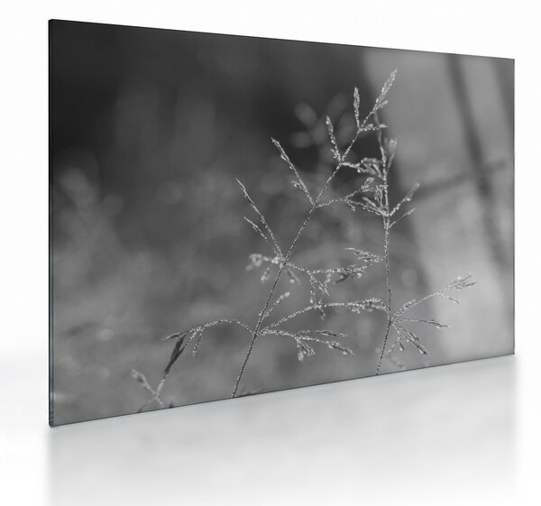 Obraz na szkle - Wiejska łąka (70x50 cm)