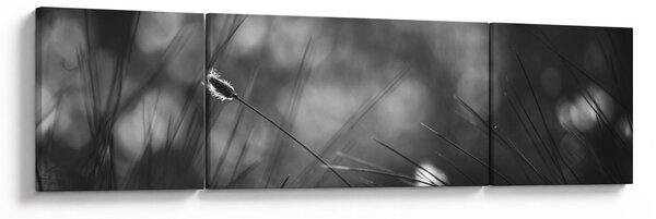 Obraz - Trawa łąkowa (170x50 cm)