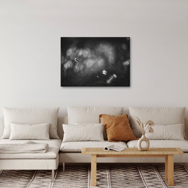 Obraz - Trawa łąkowa (70x50 cm)