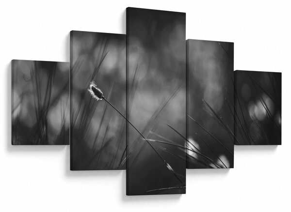 Obraz - Trawa łąkowa (125x70 cm)