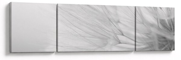 Obraz - Mniszek lekarski (170x50 cm)
