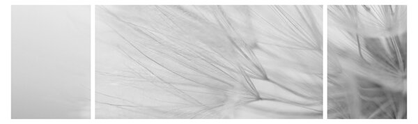 Obraz - Mniszek lekarski (170x50 cm)