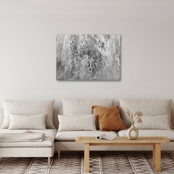 Obraz - Dzika łąka (70x50 cm)