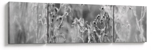 Obraz - Dzika łąka (170x50 cm)