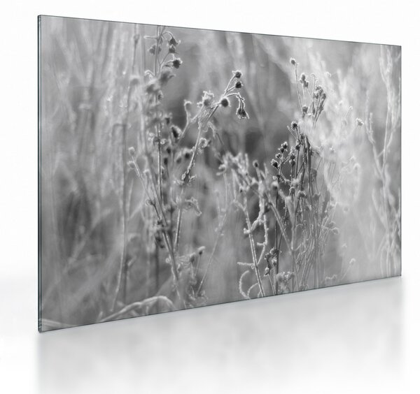 Obraz na szkle - Dzika łąka (70x50 cm)