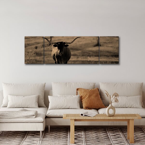 Obraz - Krowa z Teksasu (170x50 cm)