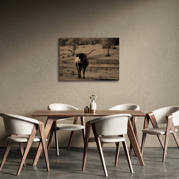 Obraz - Krowa z Teksasu (70x50 cm)