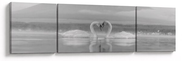Obraz - Zakochane łabędzie (170x50 cm)