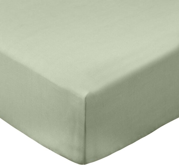 Zielone prześcieradło z perkalu bawełnianego z gumką 90x190 cm Cotton Percale – Bianca