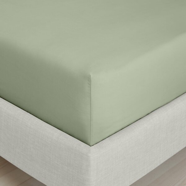 Zielone prześcieradło z perkalu bawełnianego z gumką 90x190 cm Cotton Percale – Bianca
