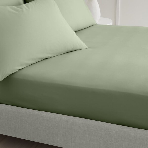 Zielone prześcieradło z perkalu bawełnianego z gumką 90x190 cm Cotton Percale – Bianca