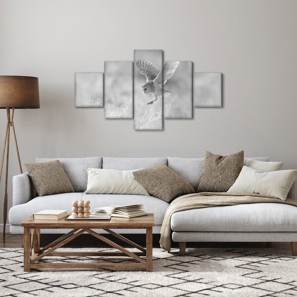 Obraz - Sowa na polu (125x70 cm)