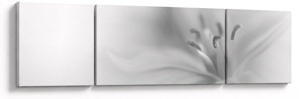 Obraz - Delikatna lilia (170x50 cm)