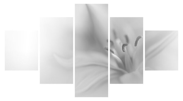 Obraz - Delikatna lilia (125x70 cm)