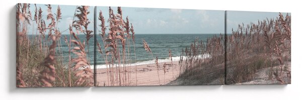 Obraz - Różowa plaża (170x50 cm)