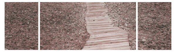 Obraz - Plaża żwirowa (170x50 cm)