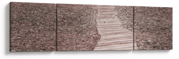 Obraz - Plaża żwirowa (170x50 cm)