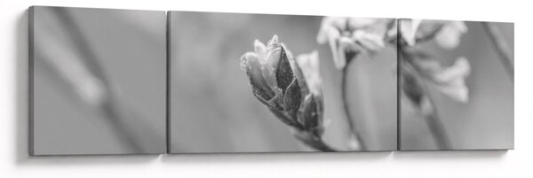 Obraz - Kwitnący kwiat (170x50 cm)