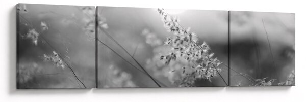 Obraz - Jesienna łąka (170x50 cm)