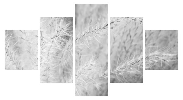Obraz - Trawa pampasowa N⁰1 (125x70 cm)