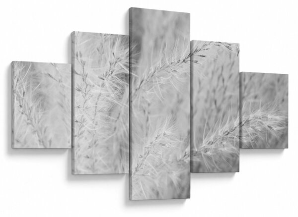 Obraz - Trawa pampasowa N⁰1 (125x70 cm)
